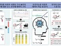 [쿠키과학] '사물탕' 난임치료 효능 규명, AI 데이터 구축