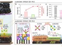 [쿠키과학] KAIST, 전기차 충전시간 단축 전해질용매 개발
