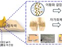 [쿠키과학] 상처를 10초만 원상복구하는 전자피부 기술