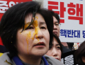 野의원들, 헌재 앞 회견 중 ‘날계란 봉변’…경찰 수사 돌입