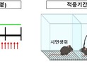 [쿠키과학] '타인 고통 공감하는 우뇌의 비밀'… IBS, 간접공포 신경회로 찾았다