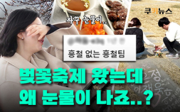 벚꽃은 폈는데 지갑은 닫혔다? 축제 물가 체감기 [이슈 인사이드]