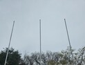 속초시 영랑호 벚꽃축제, 