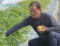 “족부절단 위기 벗어나” ‘당 편한 세상’, 당뇨 극복 사례 담는다