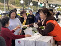인제 산나물 '불티'…봄철 마케팅 성료