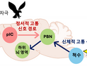 [쿠키과학] '정서적 고통, 신체적 고통' 공포감 처리하는 뇌 회로 달라
