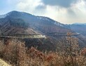 '극한 호우 대비 임도 강화'… 산림청, 감사원 지적사항 개선조치 마련
