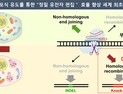 [쿠키과학] 
