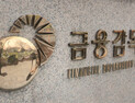 대표·이사회 겸직에 ‘견제 실종’…‘책무구조도’ 시범운영 허점