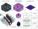 [쿠키과학] '암 조직 입체구조 완벽 분석'… KAIST, 3D 가상염색기술 개발