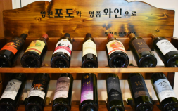 [단독] 여자리그 7년 만에 9개 구단 체제…‘영천 명품 와인’ 신생팀 합류 [바둑]