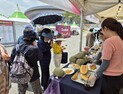 구미시, 프리미엄 멜론 아시아육상대회서 세계에 첫선