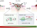 [쿠키과학] 항생제 내성 슈퍼박테리아 방패막 '바이오필름' 깨는 치료법