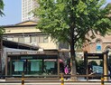 전주 중앙성당 앞 가로수 품은 저상버스 승강장 시설 개선 ‘눈길’