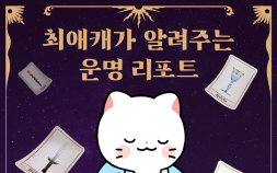  스튜디오 리코, 웹툰 캐릭터 기반 AI 사주·타로 서비스 ‘타로툰’ 출시