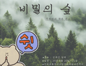 인제 '비밀의 숲' 열린다…기대감 증폭