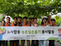 한전 강원본부 사회봉사단, 농번기 농촌일손돕기 '구슬땀'