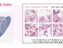 LG, 차세대 정밀 의료 AI ‘엑사원 패스 2.0’ 공개…“암 정복 나선다”