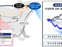 [쿠키과학] 