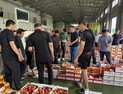 당도·저탄소·안전 3박자 갖춘 ‘군위 자두’ 본격 출하