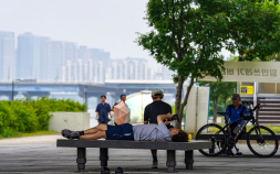 사람 잡는 폭염…87명 응급실행, 누적 사망자 18명