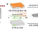 [쿠키과학] KAIST, 스스로 물체를 집고 걷는 ‘실시간 프로그래밍 로봇시트’ 개발