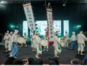 함안농요보존회, 인도네시아에 감동과 소통의 길을 열다
