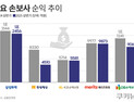 대형 손보사, 손해율 악화에 순익 줄줄이 감소