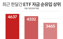 파킹형ETF가 뭐길래?...답답한 주식시장서 ‘인기’