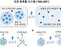[쿠키과학] 