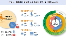 의료 대란 영향에…작년 응급실 방문환자 50% 이상 급감