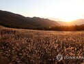 울산, 해양산악레저특구 지정 신청…