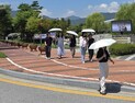 충남교육청 ‘햇살 쉼 양산 펼쳐유’ 캠페인 큰 호응 [충남에듀있슈]