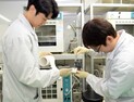 [쿠키과학] '전고체배터리 상용화 앞당긴다'… ETRI, 고체전해질막 개발
