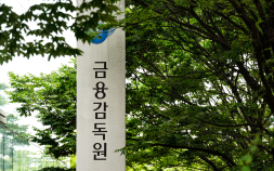 금감원, 예탁금 이용료율 제도 개선 추진…“투자자 권익 강화”