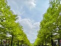 전주동물원, 추석 연휴에도 정상 운영