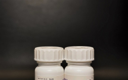 SK바이오팜, 뇌전증 신약 ‘세노바메이트’ 日 허가 신청