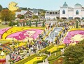 천만송이 국화로 물든 ‘임실N치즈축제’ 추석연휴 8일 화려한 개막