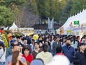 ‘제22회 익산 천만송이 국화축제’ 개막 나흘 만에 31만명 방문