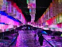양산 ‘통도사 미디어아트’ 내년엔 더 화려해진다