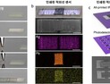 [쿠키과학] '반도체공정 한계 넘은 초소형 적외선 센서'… 3D 프린팅으로
