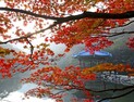 정읍 내장산 단풍빛깔 ‘다음 주 절정’ 전망