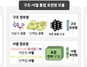 '알파폴드3 넘는다'… KAIST, 차세대 바이오 AI 'K-Fold' 개발 착수