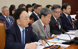 ‘인종차별 발언’ 김철수 적십자사 회장 사의