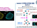 [쿠키과학] KAIST, 암세포 전이 비밀 세계 최초 규명