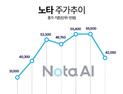 노타, 7배 올랐다 와르르…‘새내기주 변동성 확대 주의보’