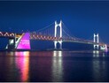 부산 광안대교 새 단장 완료…무빙라이트 신설·미디어콘텐츠 확대
