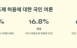 대체조제 두고 엇갈린 의·약…‘같은 성분 다른 약’ 논쟁