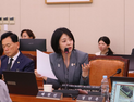 [2025 국감 우수의원] 국회 문화체육관광위원회 배현진 의원