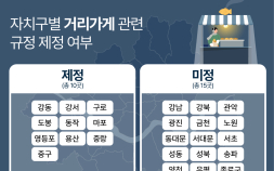 규제도 공존도 실패…‘비표준 행정’이 키운 서울 노점 갈등